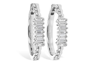 G328-04979: EARR .20 TW BAGUETTES